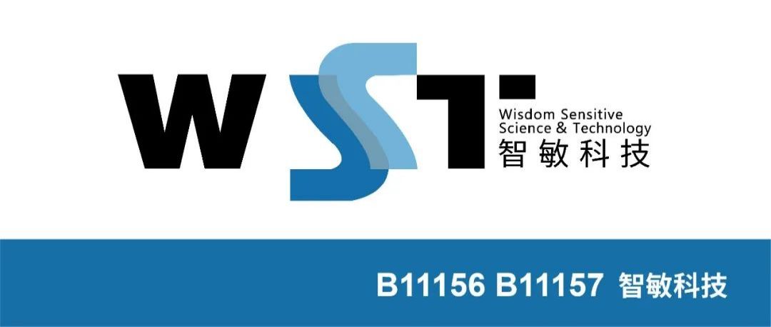 智敏